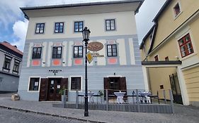 Hotel Salamander - Garni
