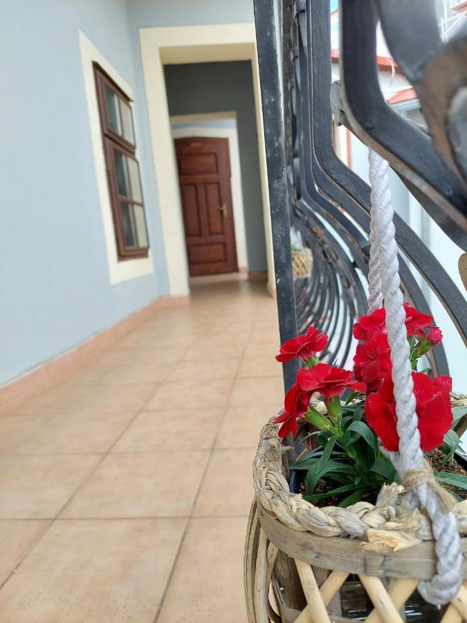 Hotel Salamander - Garni Banská Štiavnica Kültér fotó